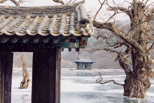 The Flick Chick: Review: Spring, Summer, Fall, Winter... and Spring (2003)