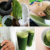 Papaya Leaf Juice: Health Benefits For Your Hair, Skin and Health