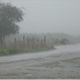 Sertão vai virar mar a partir deste mês, informam meteorologistas