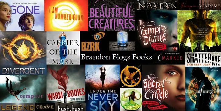 Brandon Blogs Books