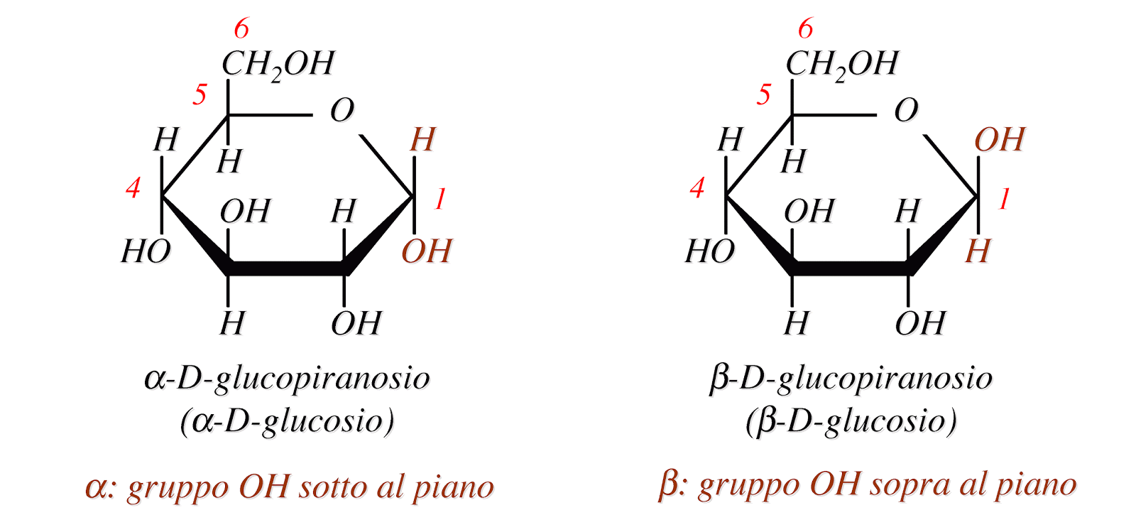 Disaccaridi Oligosaccaridi E Polisaccaridi