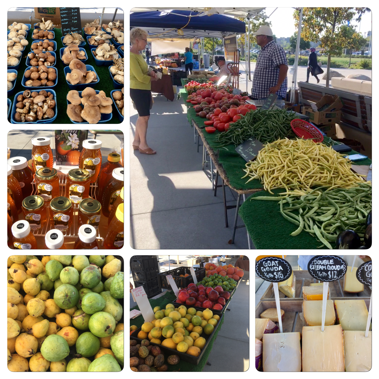 To Market, To Market with San Diego Foodstuff Civita in Mission Valley