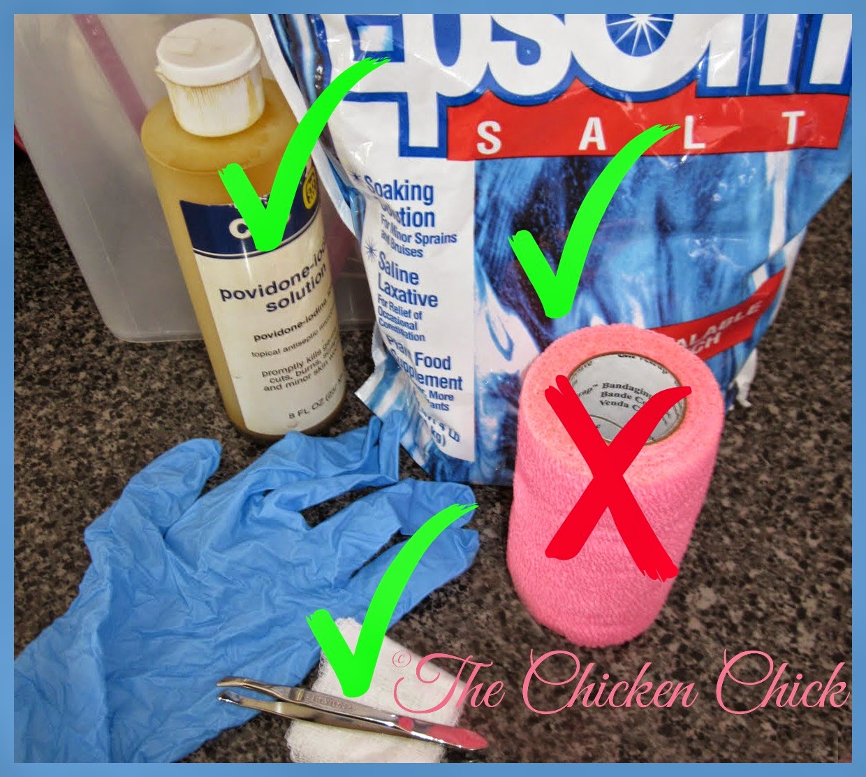 The Chicken Chick® Flystrike in Backyard Chickens, Causes, Prevention