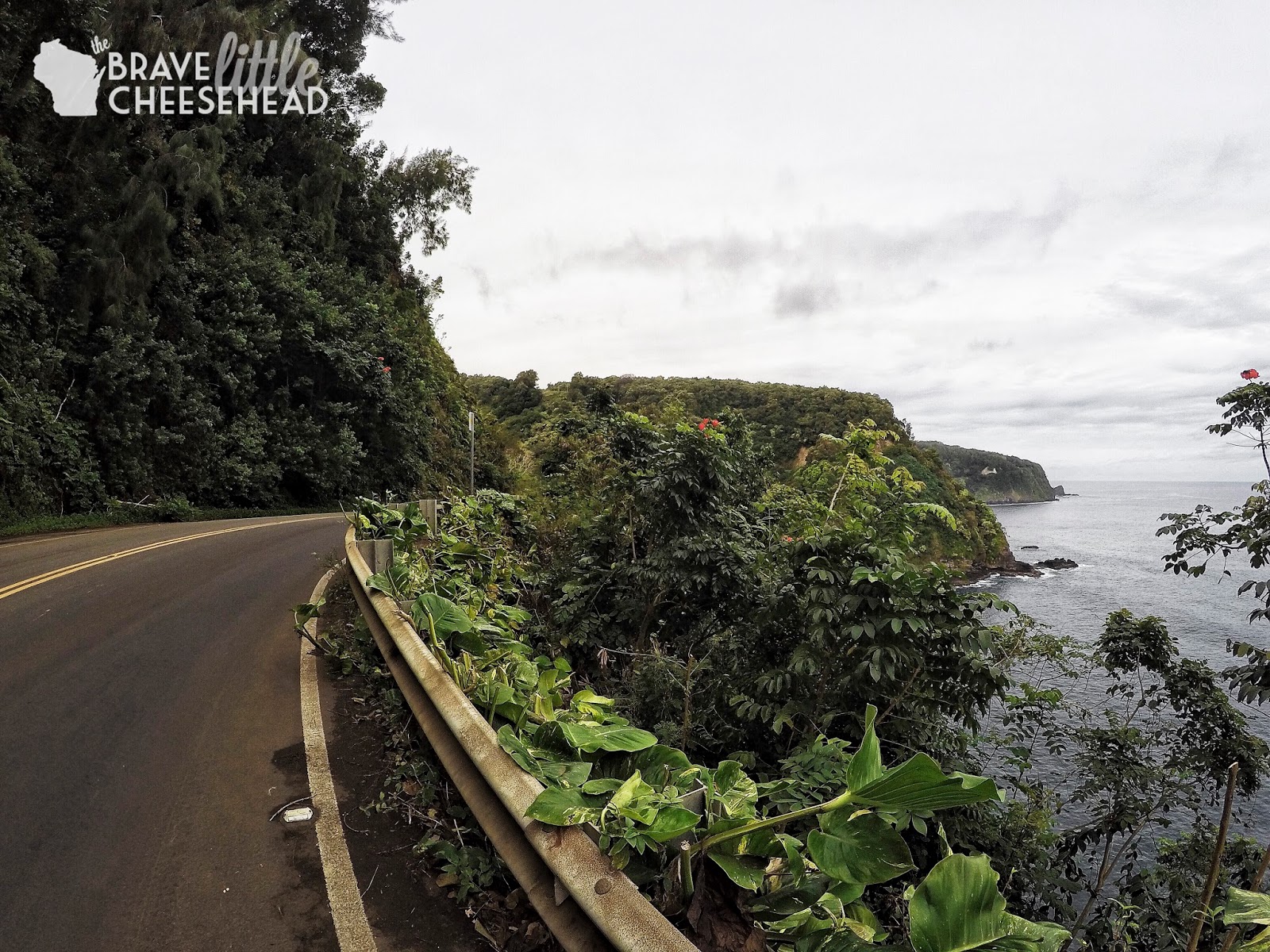 Our Top Five Tips for Traveling the Road to Hana | The Brave Little Cheesehead at bravelittlecheesehead.com Our Top Five Tips for Traveling the Road to Hana | The Brave Little Cheesehead at bravelittlecheesehead.com