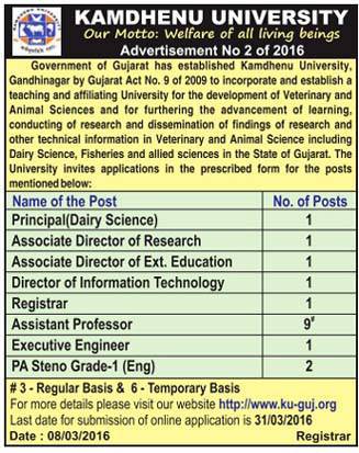 Kamdhenu Univeristy Various Recruitment 2016