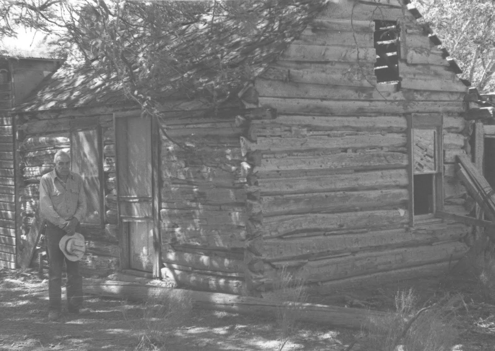 Gene's Family Tree THE LAND OF THE SLEEPING RAINBOW by IRENE WILSON K.I.