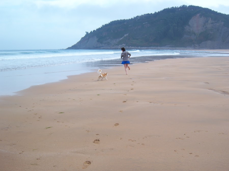 Perro ciego corriendo por la playa