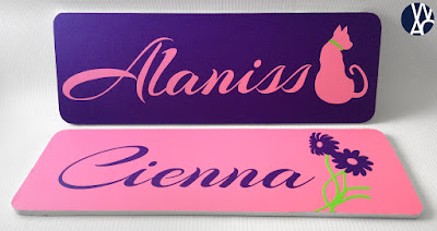 Kids matching name plates for bedrooms. Alaniss with a cat and Cienna with a flower.