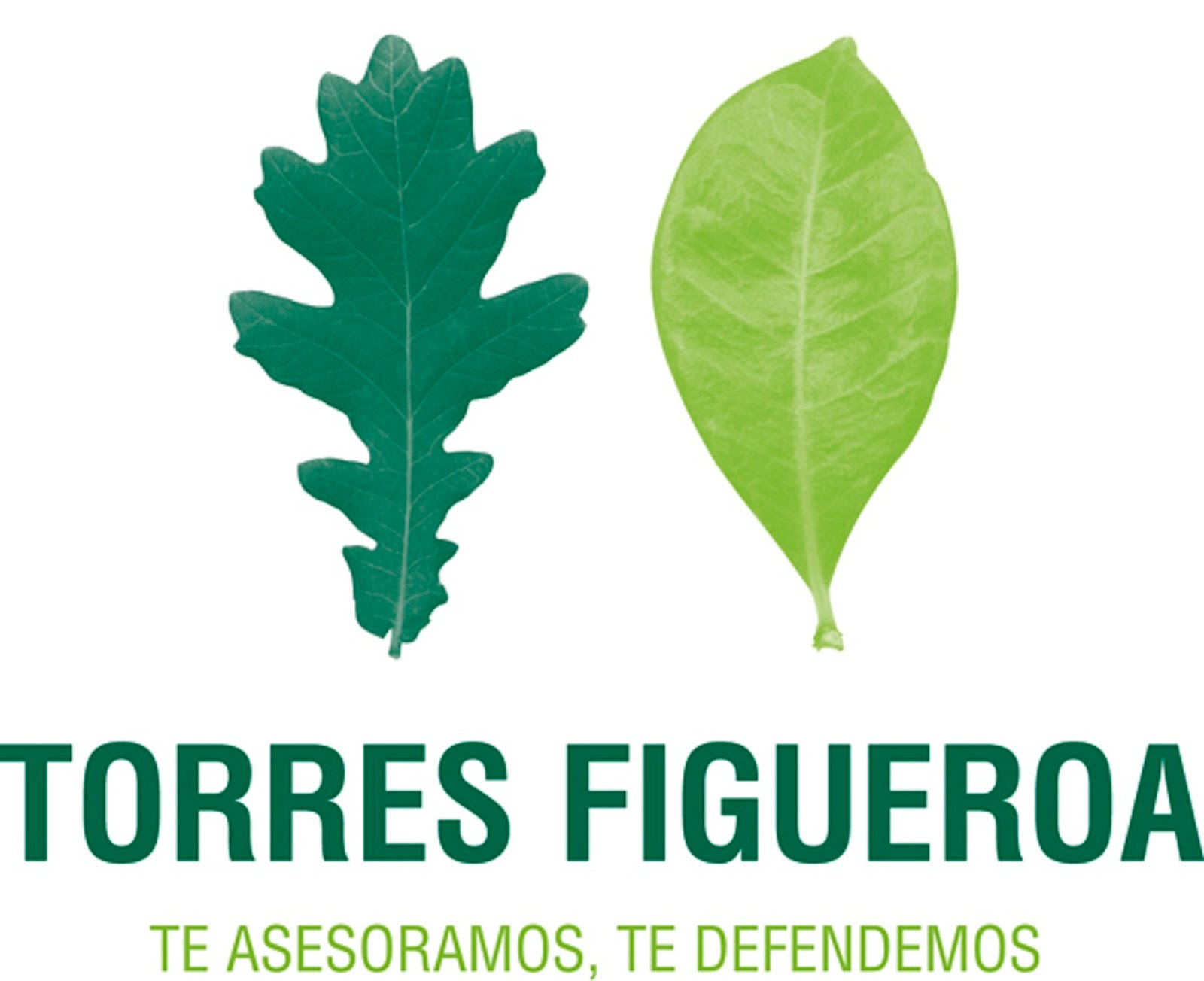 TORRES FIGUEROA ABOGADOS