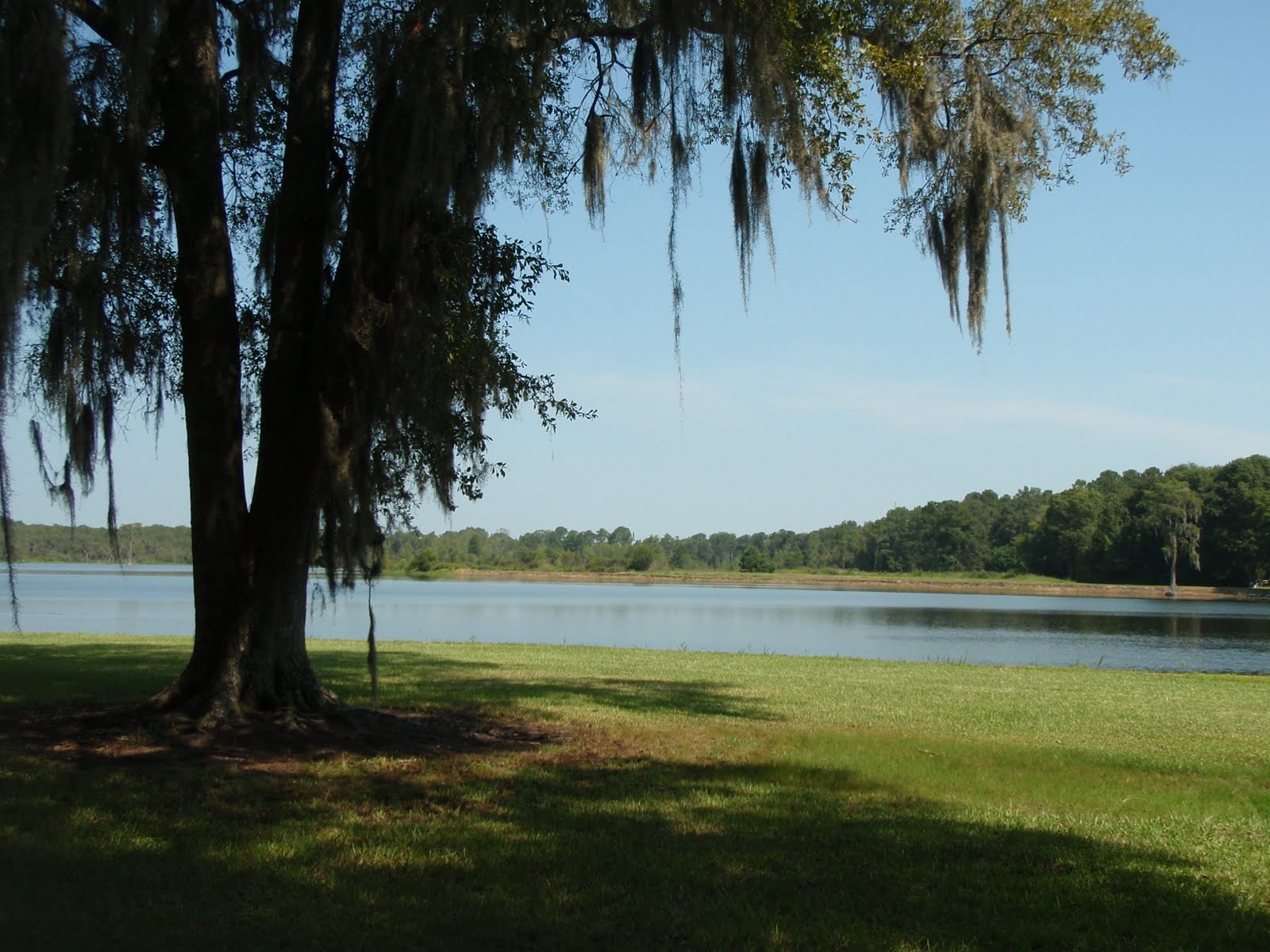 SOUTH KAYAK FISHING Lake Nichols Pavo, GA Brooks County
