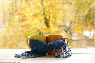 ���� ���� ������ �� ���� ������