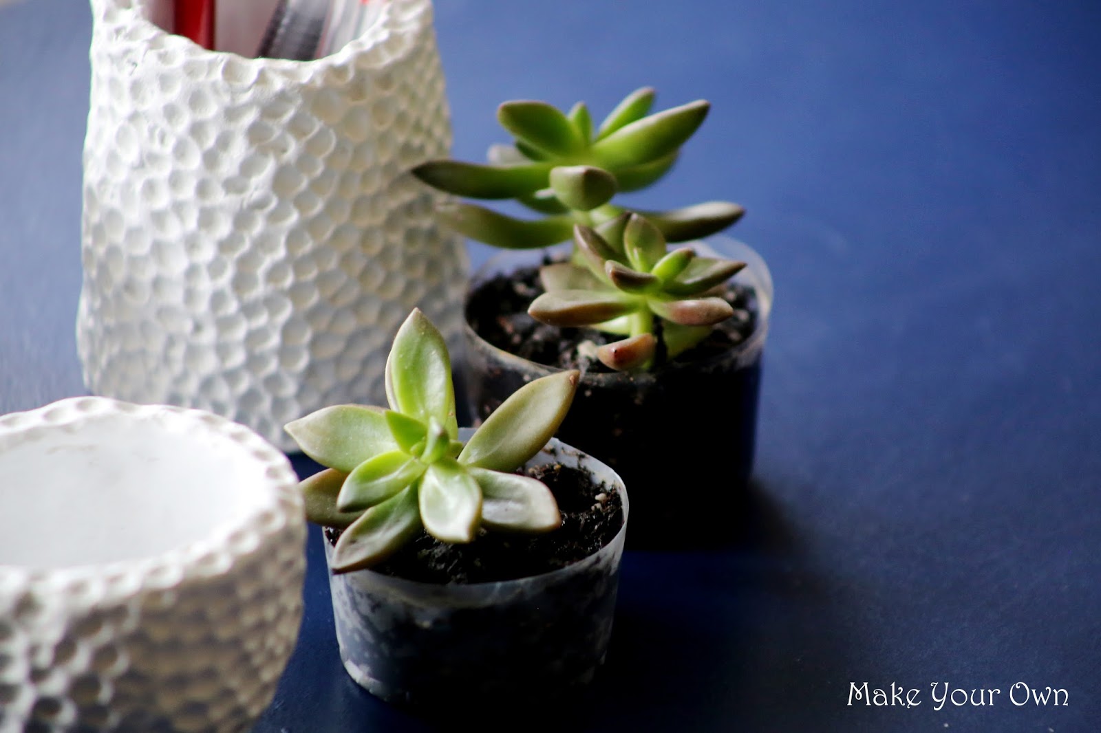 Make Your Own AirDry Clay Succulent Planters