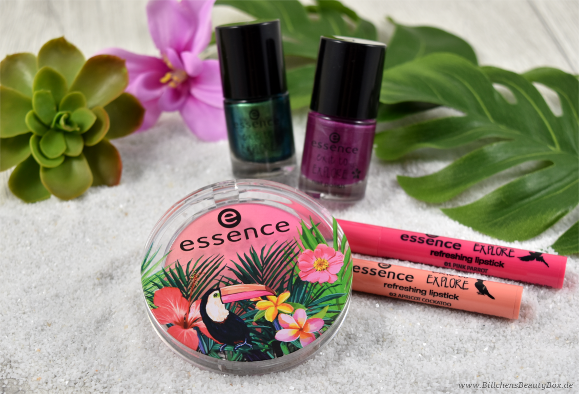 essence - exit to explore Limited Edition - Review