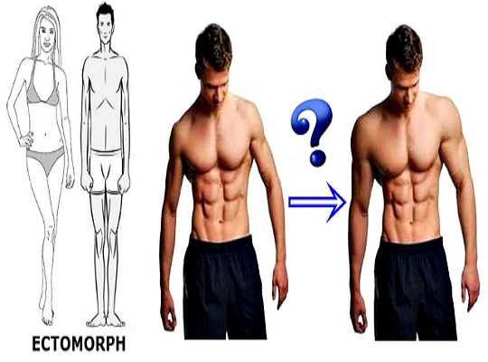 how to find out your body type ectomorph