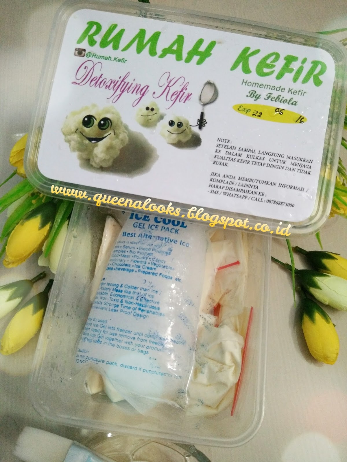 queenalooks review masker kefir by febiola queenalooks review masker kefir by febiola