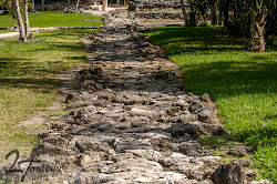 maya did why ancient mayan roads road collapse end