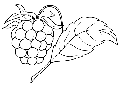 Desenhos de framboesa para colorir, pintar, imprimir!
