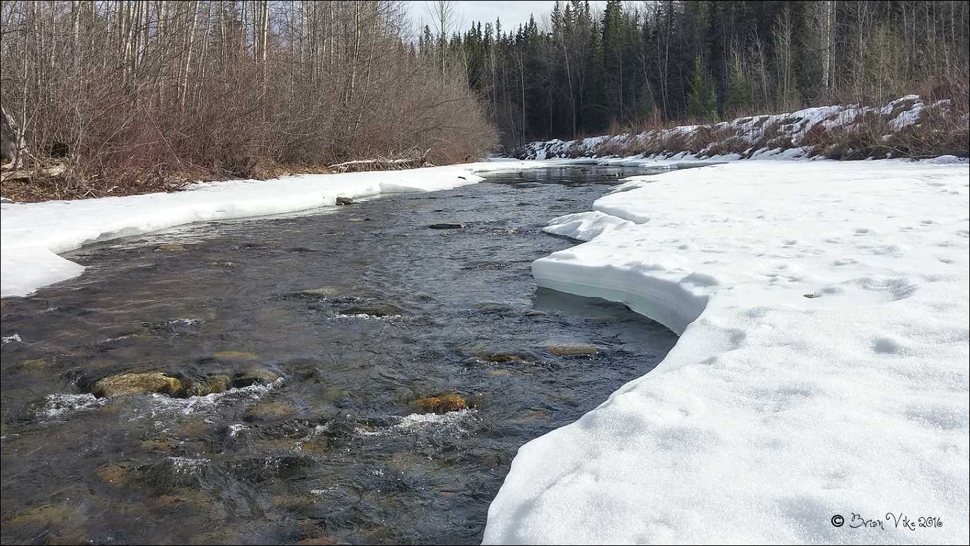 Northern Interior British Columbia Thaw Buck Creek Houston British Columbia (Pictures)