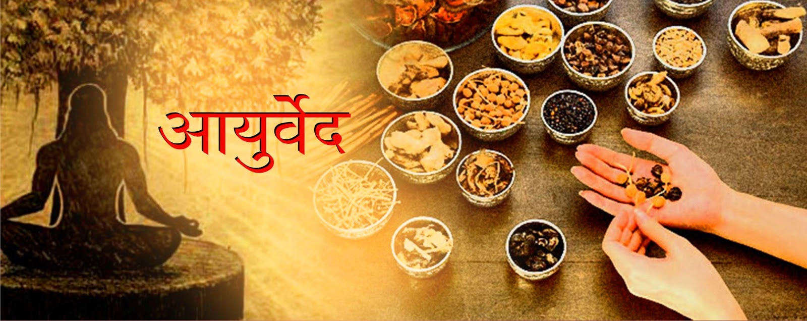 आयुर्वेद हिंदी में Ayurveda in Hindi Article Lekhak Ki Lekhni