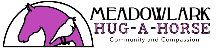 Meadowlark Hug-A-Horse
