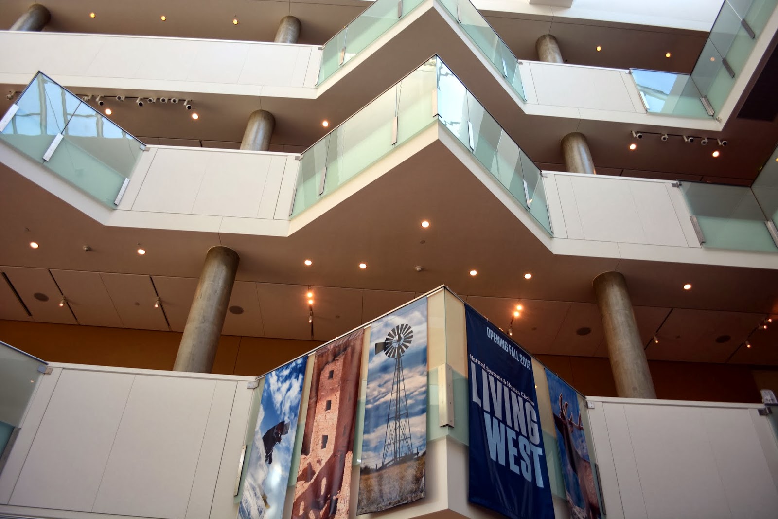 Mille Fiori Favoriti History Colorado Center