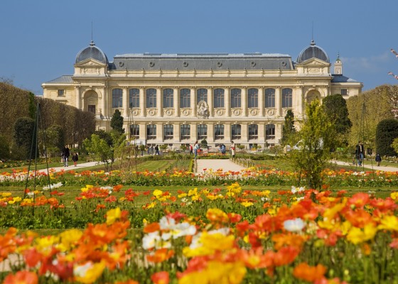 Jardin des plantes em Paris Jardin des plantes em Paris