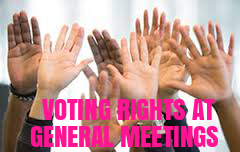 Provisions-Voting-Rights-General-Meetings