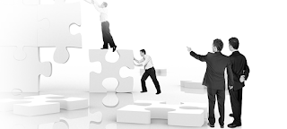 IT Professional Service IT Professional Service