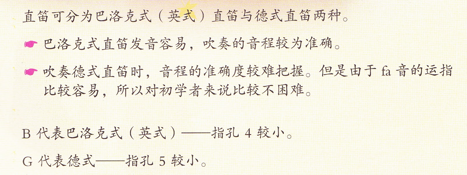 Dunia Muzik RECORDER 笛子