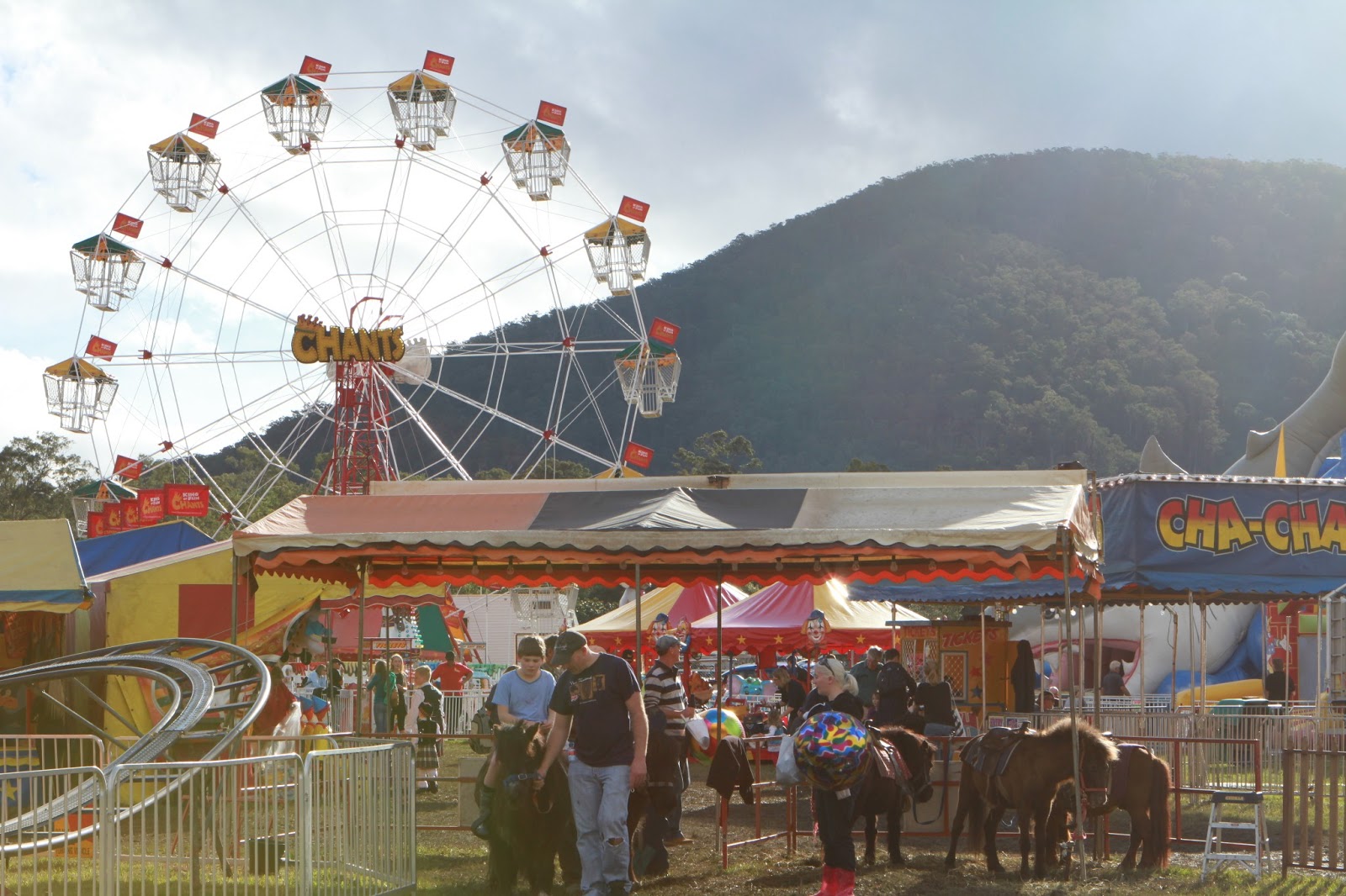 Our Everyday Life in Pictures The Samford Show Part 2