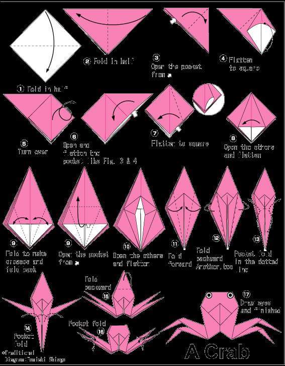 Berbagai Jenis Origami Binatang Kerajinan  Tangan  Lipat 