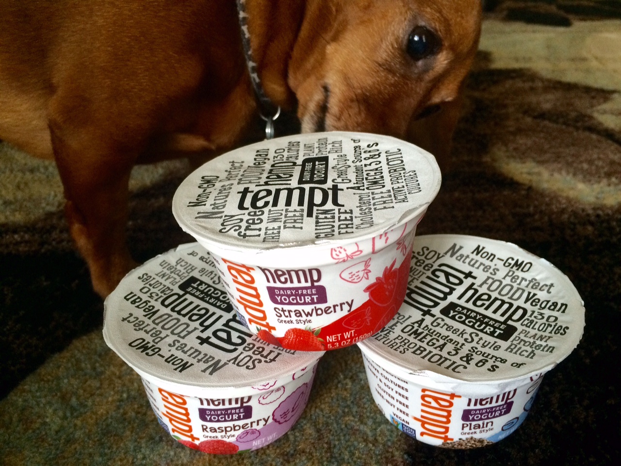 Vegan Noms New Vegan Yogurts Hemp and Coconut!