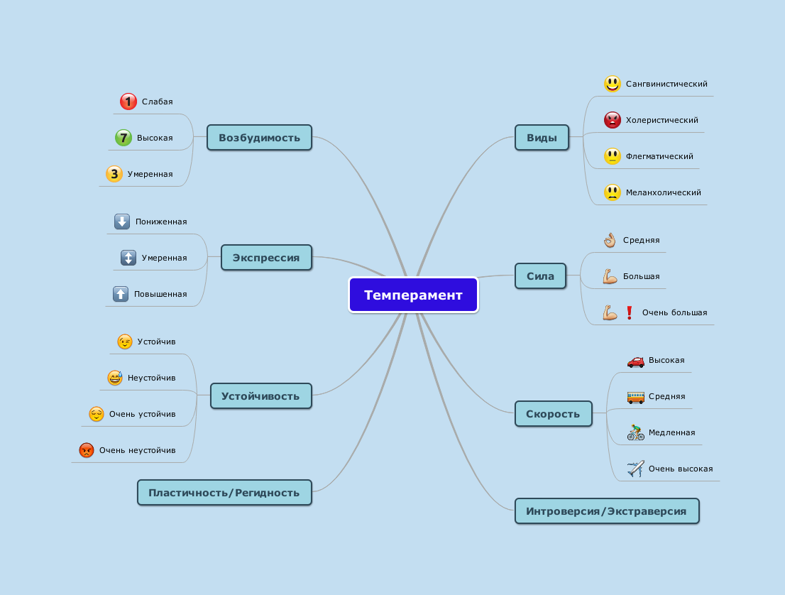 Интеллект карта темперамент. Характер темперамент интеллектуальность. Портрет личности. Ментальная карта по теме темперамент. Типы темперамента интеллект карта.
