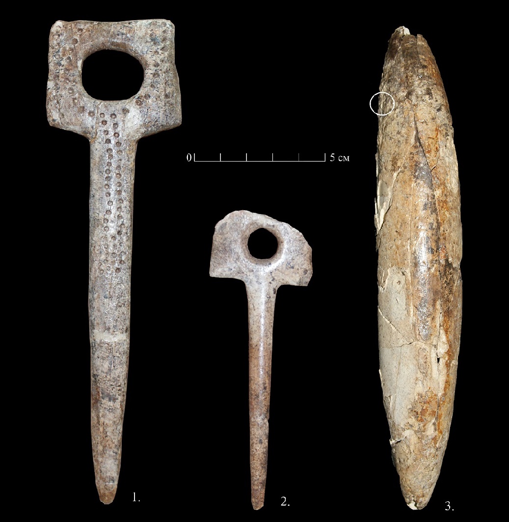 Homo Sapiens Tools Hot Sex Picture homo-sapiens-tools-hot-sex-picture