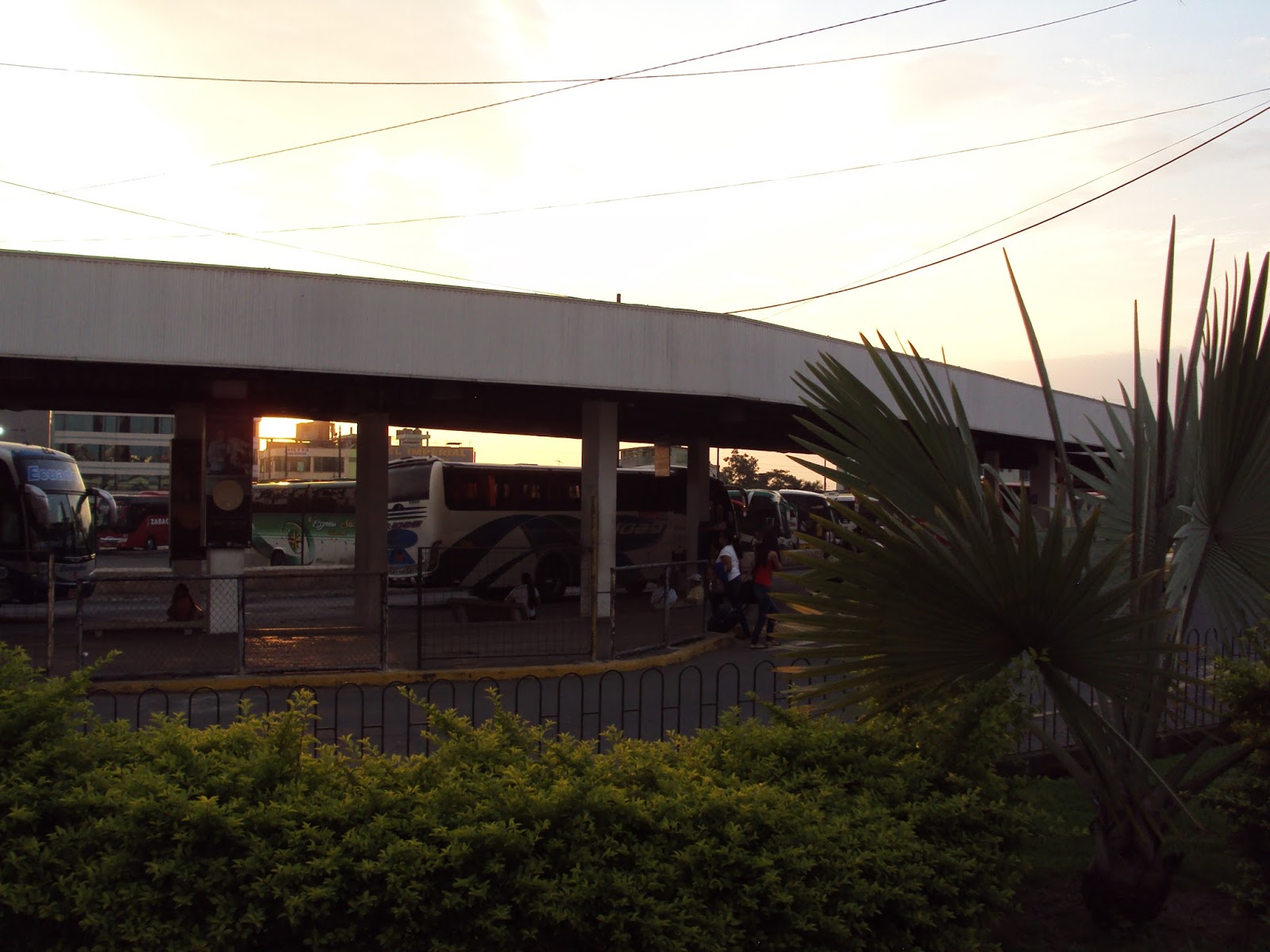 Terminal Terrestre Santo Domingo de los Tsáchilas información