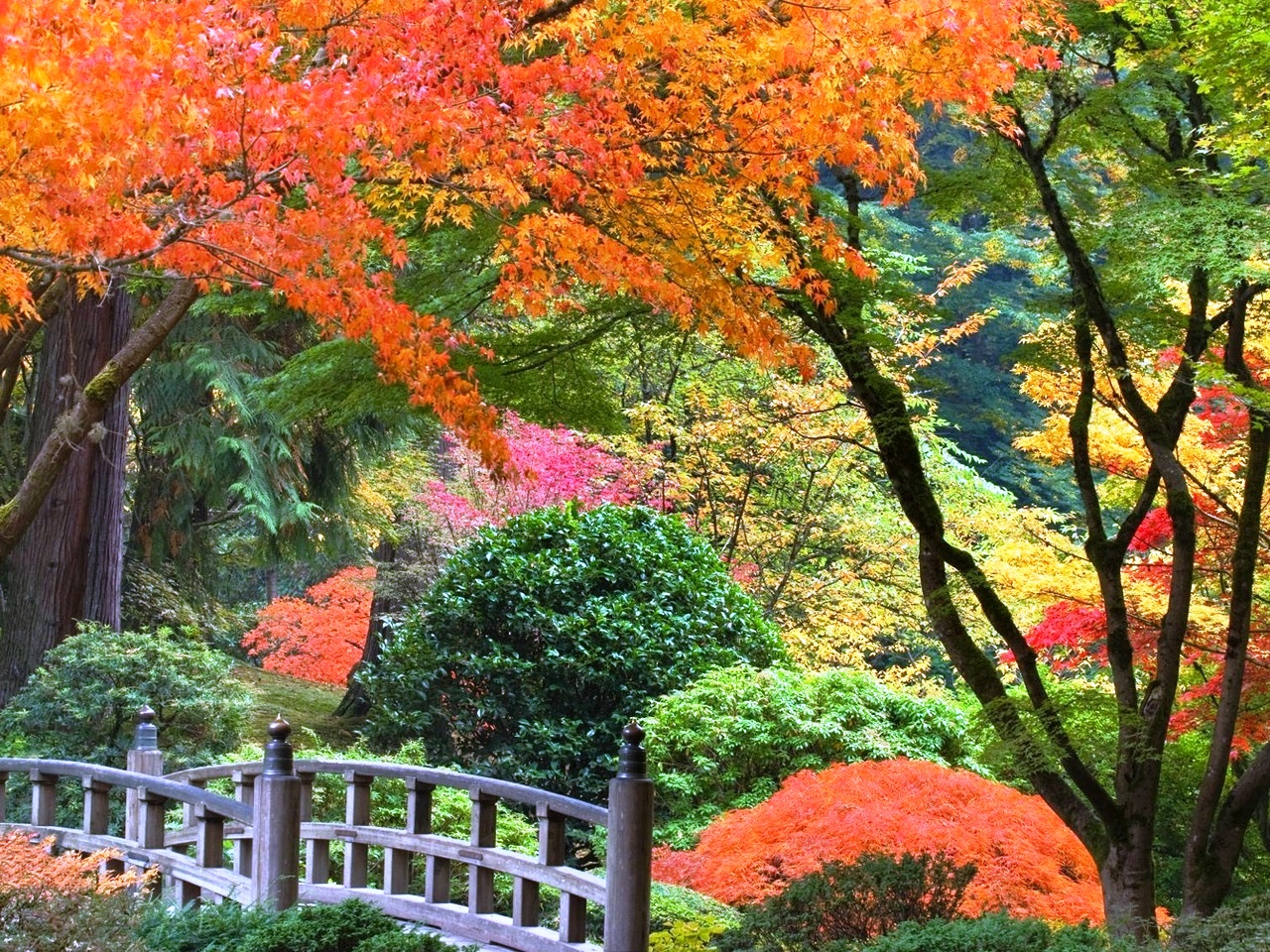 Free Beautiful Nature 3d Hd Images And Photos Wallpapers For