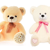 Min 50% Off: Miss & Chief Teddy Bear Starting From Rs.132 ( worth of Rs.399)