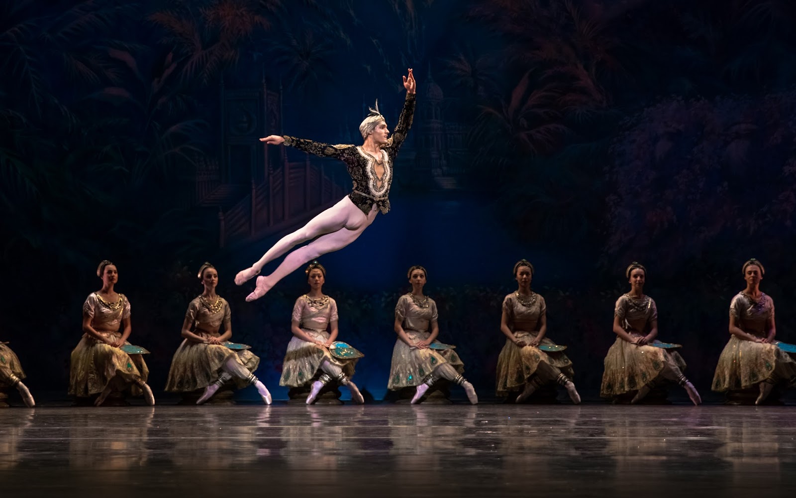 баядерка отзывы. балет баядерка захарова. светлана захарова баядерка. баядерка в новосибирском театре оперы и балета. баядерка балет мариинский театр.