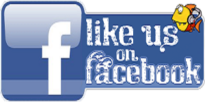 RealindianFreebies : Like Us on Facebook
