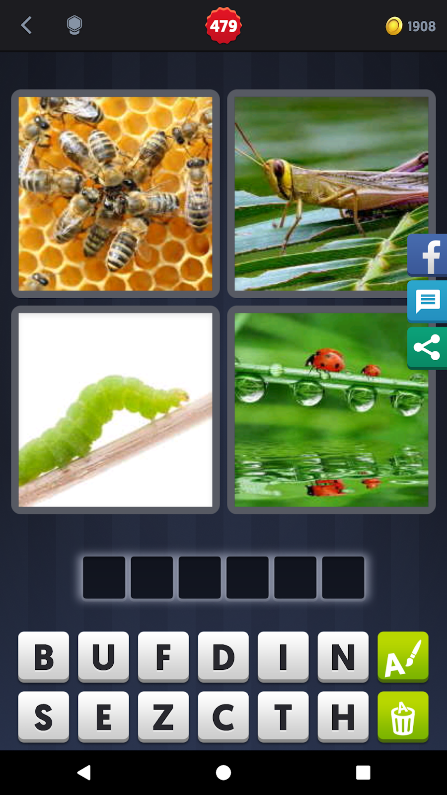 4 Pics 1 Word Answers Solutions: LEVEL 479 INSECT