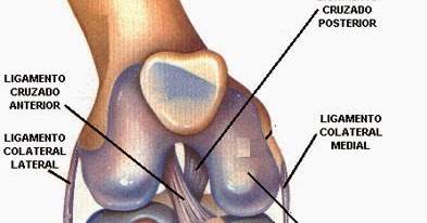 Ligamento medial sintomas colateral rompimento