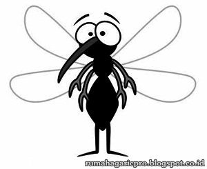 Obat Malaria Obat Malaria