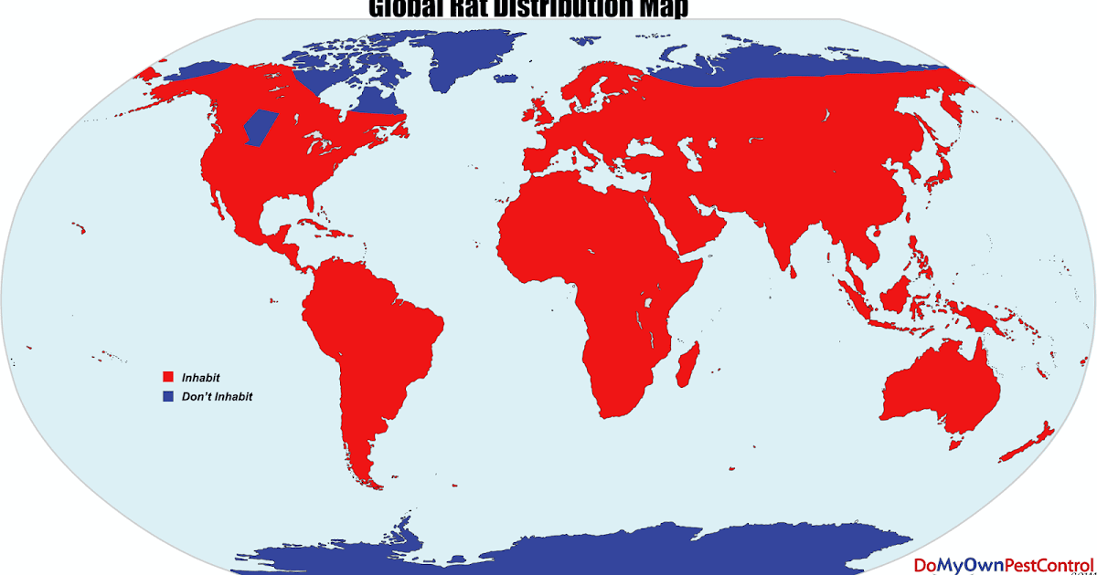 TIL there are no rats in Iceland