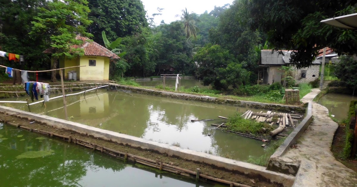 Pembuatan Proposal Permohonan