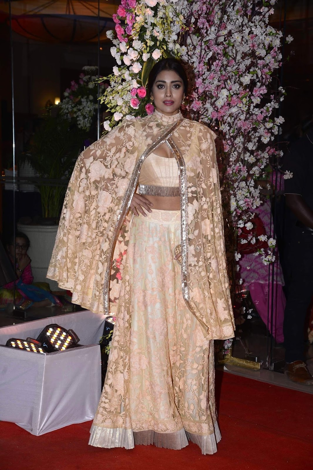 Super Hot Bollywood Babes At The Neil Nitin Mukesh & Rukmini Sahay Wedding Reception in Mumbai