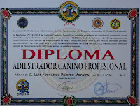 Licencia y diploma de Adiestrador Canino Profesional