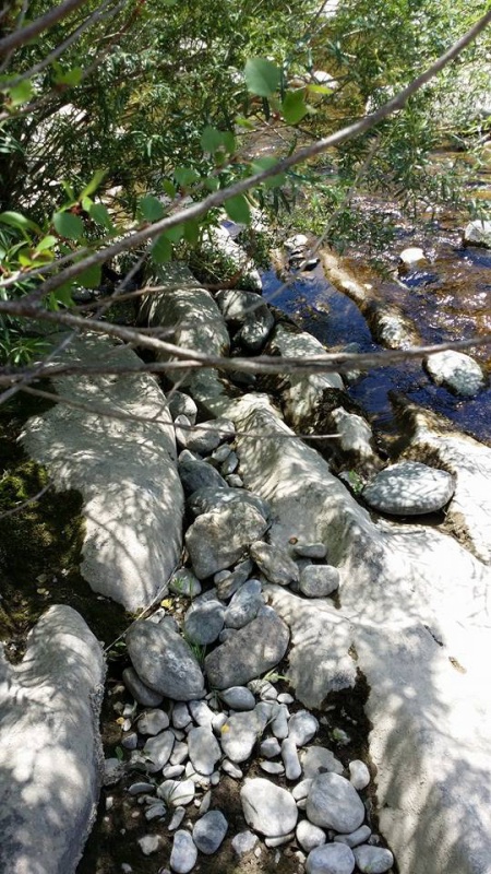 Comment Trouver L Or Dans La Nature Comment Trouver L'or Dans La Nature - eacurvy