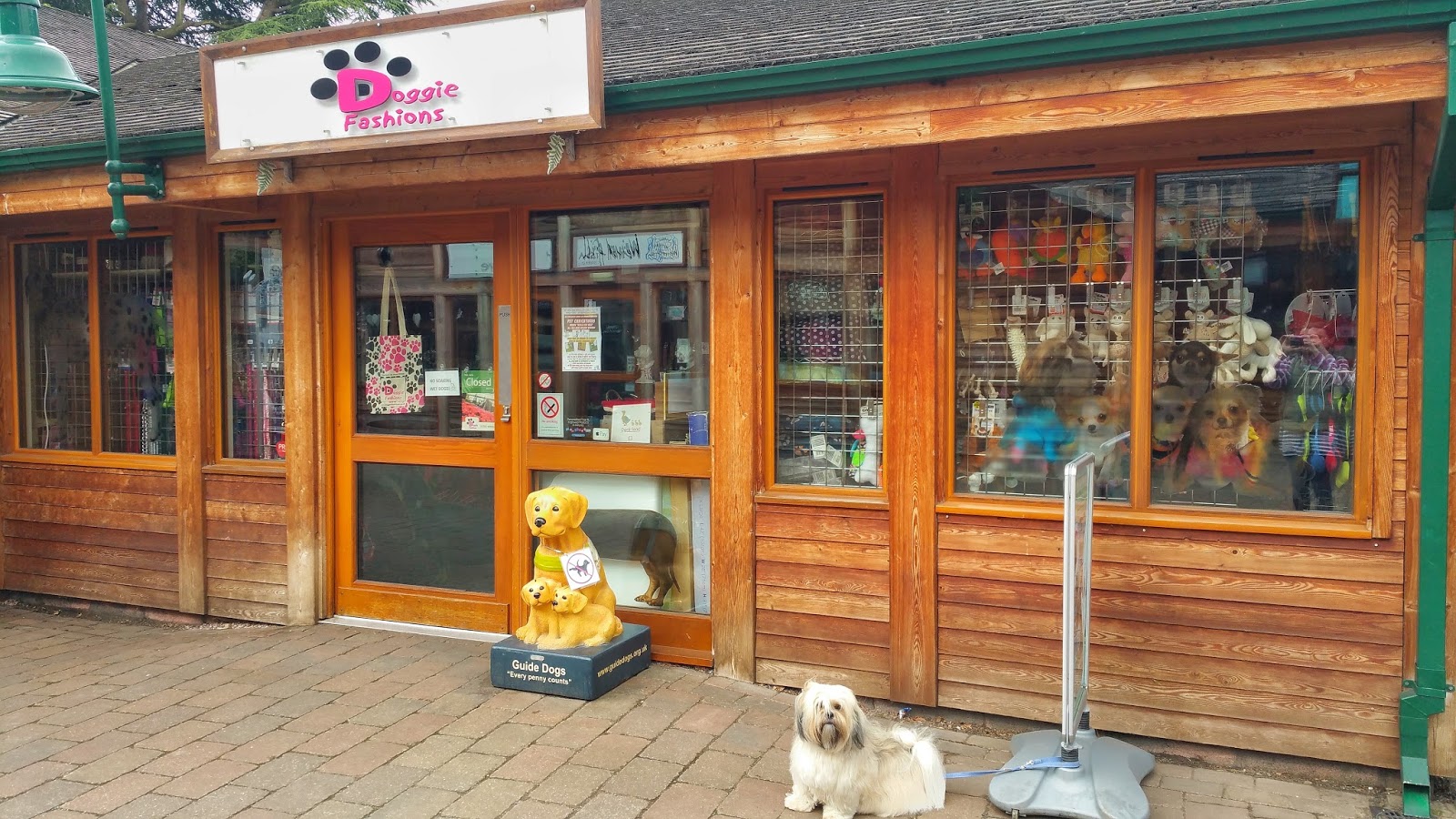 Doggie Fashions The Trentham Estate Staffordshire Paws across Britain