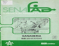 Marcado de bovinos - Manejo 12 | SENA marcado-de-bovinos