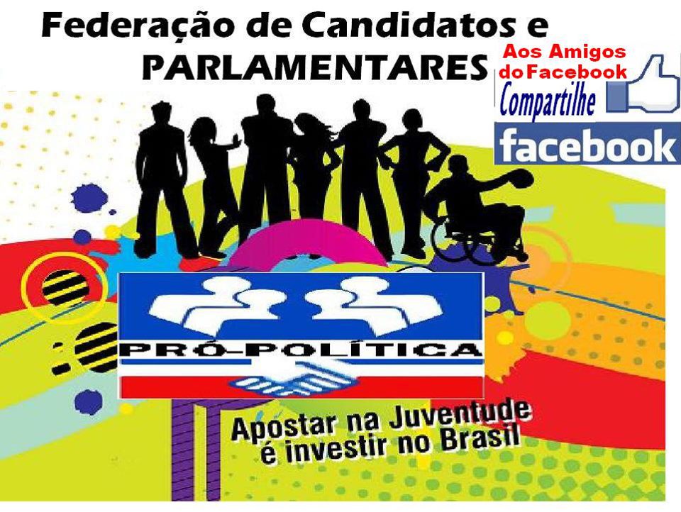ORGANIZAÇAO POLITICA DO RJ